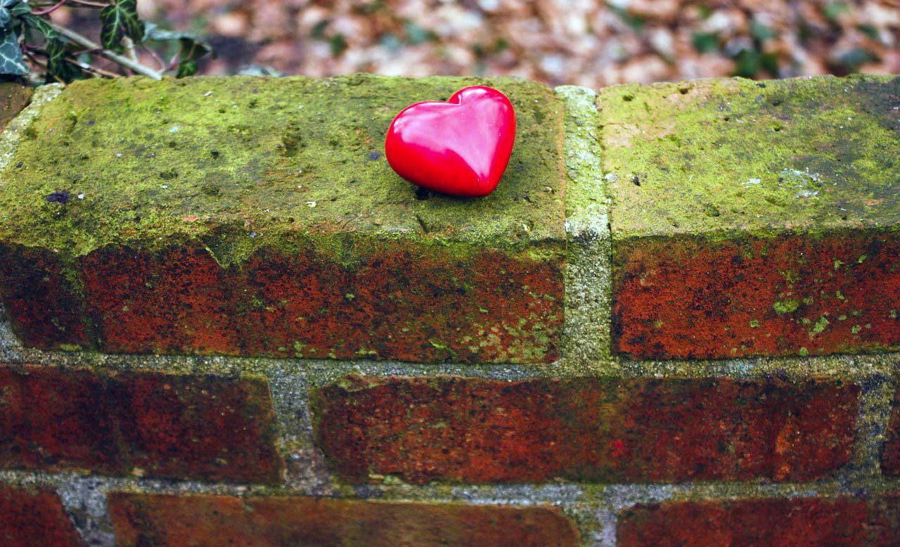 heart wall